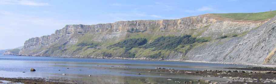 Tyneham cliffs