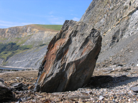 Large fallen boulder