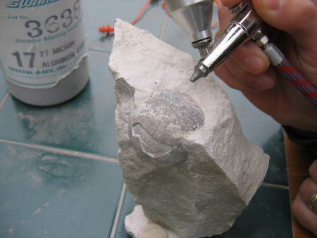 Air-abrasive tool used to expose a fossil echinoid