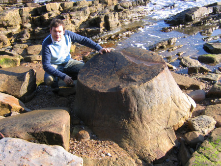 Roy Shepherd with a large fossil tree stump at Crail