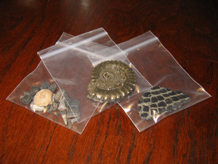 Sealable plastic bags for storing fossils