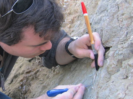 Roy Shepherd extracts a fossil using a steel point and brush