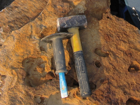 fossil hunting tools