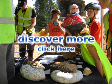 JOIN US ON A FOSSIL HUNT!