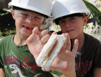 Discovering Fossils home page image 6