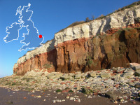 Click to view details