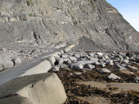 Upper Kimmeridge Clay exposed at Brandy Bay