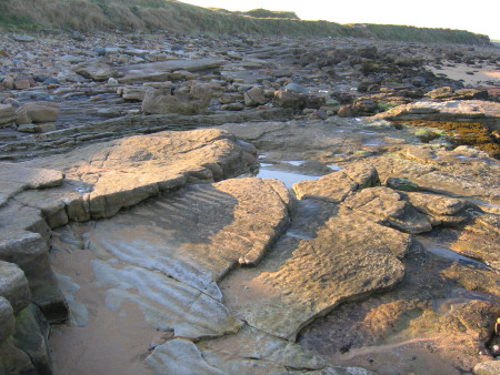 Prehistoric ripple marks preserved in the rocks at Kingsbarns