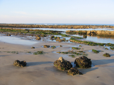 Foreshore exposed at Kingsbarns