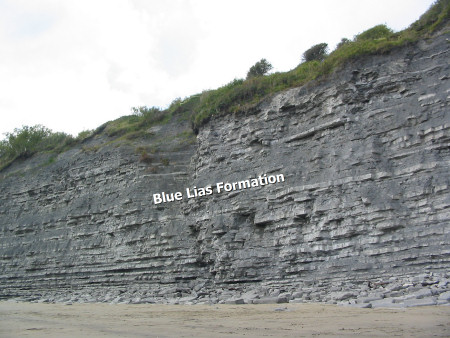 Blue Lias Formation at Church Cliffs near Lyme Regis