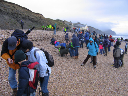 Fossil hunters search the foreshore at Lyme Regis for loose fossils