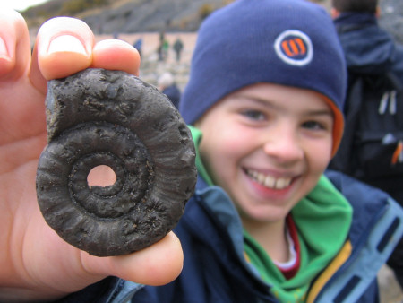 Fossil pyritised ammonite at Lyme Regis