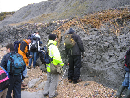 Fossil hunters at Lyme Regis searching for fossils within the Shales-with-Beef