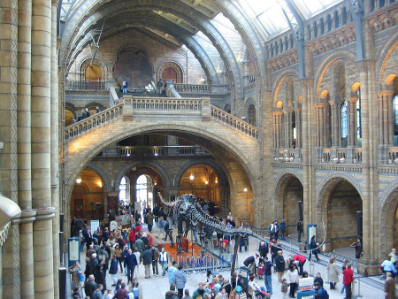 Inside the Natural History Museum London