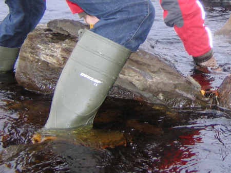 Fossil hunting in wellies in the River Brora