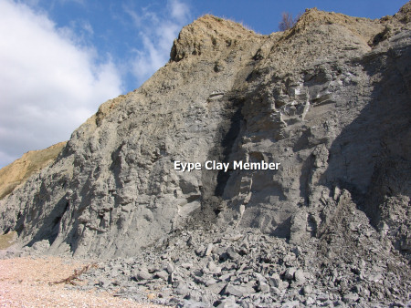 Eype Clay Member exposed in the cliffs at Seatown