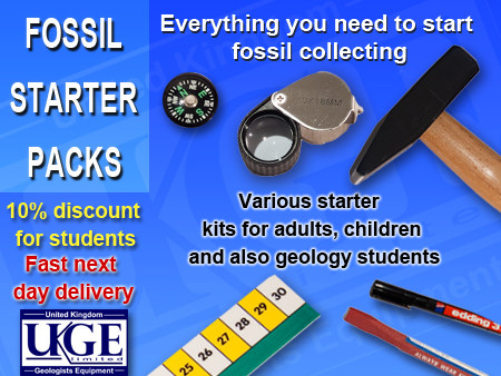 DISCOVERING FOSSILS  Fossil hunting tools and equipment
