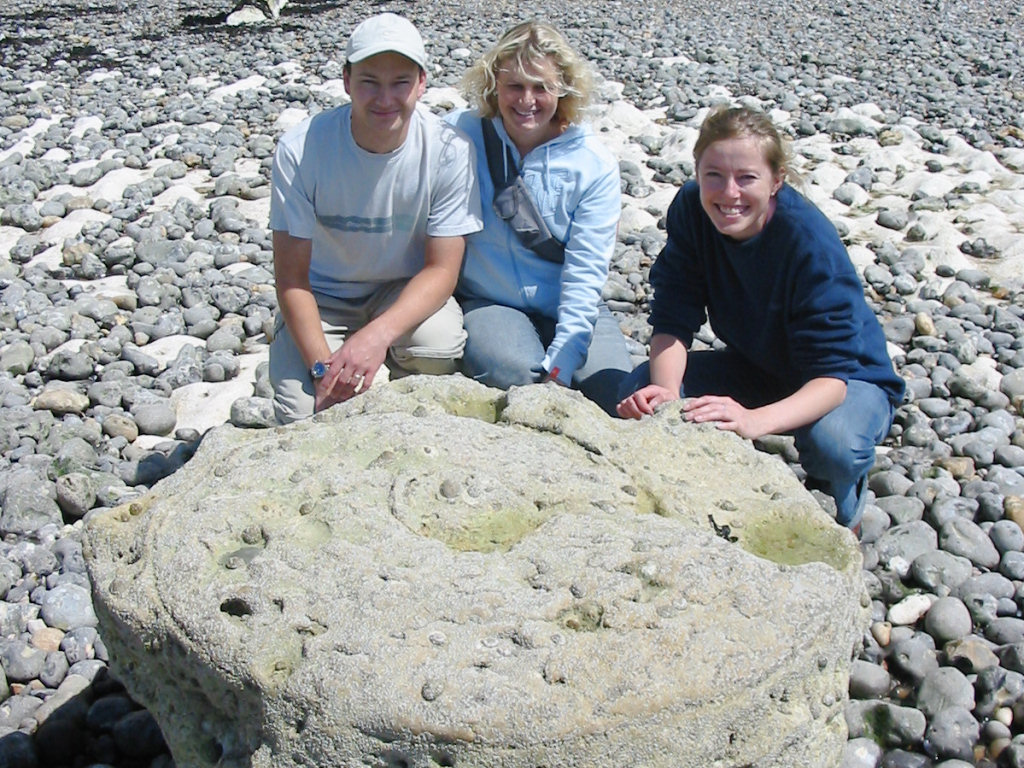 Peacehaven parapuzosia ammonite